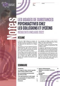 Front cover of French substance use report